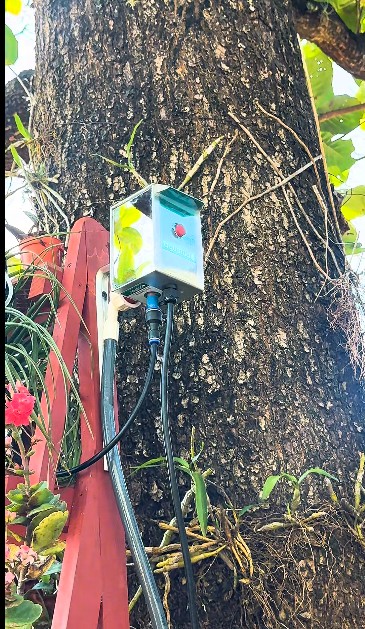 Aguatudo instalado ao lado de uma árvore, irrigando prateleira de plantas